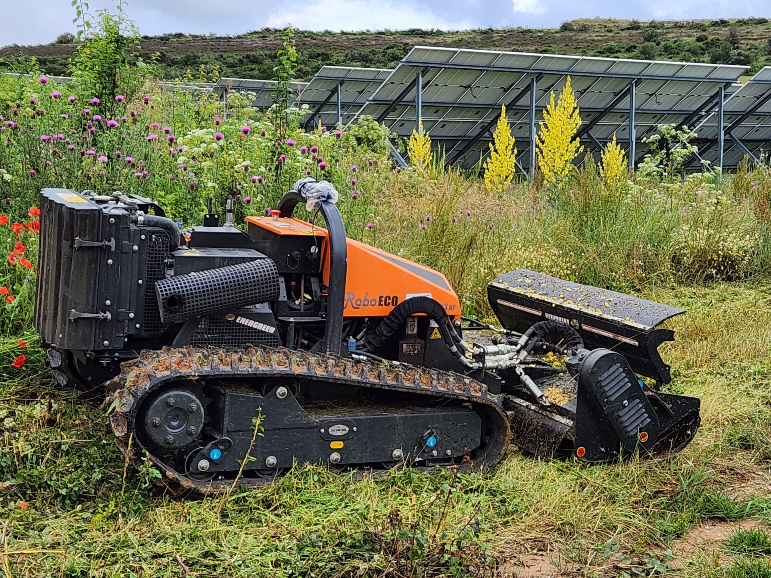 Desbroce de plantas fotovoltaicas y eólicas